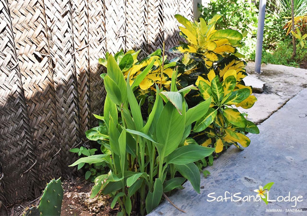Safisana Lodge Jambiani  Dış mekan fotoğraf